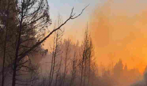 Ανεξέλεγκτη η πυρκαγιά στη Σιθωνία Χαλκιδικής -3 χλμ. μέτωπο φωτιάς