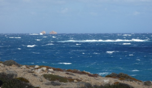 Πάρος: 23 χρόνια μετά το τραγικό συμβάν – Μνημόσυνο για τα θύματα του ναυαγίου του «Εξπρές Σαμίνα» στο νησί