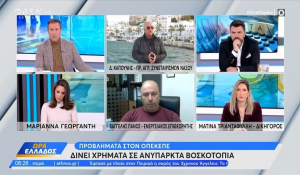 Δ. Καπούνης στο Open: «Υπουργείο-ΟΠΕΚΕΠΕ να έρθουν να λύσουμε το πρόβλημα των ψευδών δηλώσεων!»