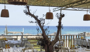 Παράτασης της προθεσμίας υποβολής αιτήσεων για την παραχώρηση απλής χρήσης τμήματος αιγιαλού και παραλίας