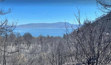 Φωτιά σε Σχίνο- Μέγαρα: Πακέτο μέτρων για τη στήριξη των πυρόπληκτων
