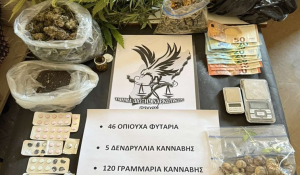 Συνελήφθη 33χρονος ημεδαπός για εσωτερικού τύπου καλλιέργεια κάνναβης στη Ρόδο