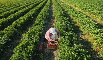 Ε.Α.Σ. Νάξου: Τιμά τις αγρότισσες και την προσφορά τους στην κοινωνία και οικονομία