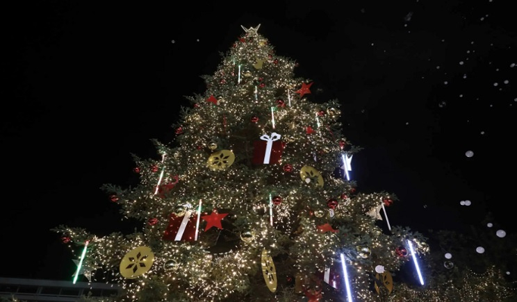«Άναψε» το χριστουγεννιάτικο δέντρο στο Σύνταγμα: Φωτίζεται από 40.000 λαμπάκια