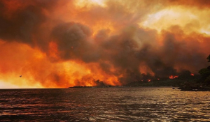 Φωτιά στην Εύβοια: Τραγική η κατάσταση στη Λίμνη – Πολίτες φεύγουν με ferry boat, έγκυες εκλιπαρούν για βοήθεια