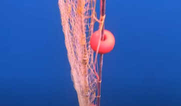 Οι Ρούσσοι της Αμοργού: Tρεις γενιές στη θάλασσα (Βίντεο)