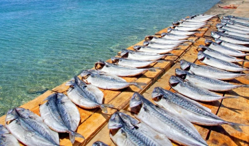 Κυκλάδες: Η καρδιά της γαστρονομίας χτυπά στη Νάξο