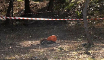 «Είδα ένα χέρι στη σακούλα, φορούσε δαχτυλίδι»: Μαρτυρία για τη σακούλα με τα οστά που εντοπίστηκε στη Χαλκιδική (βίντεο)