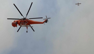 Εύβοια: Μεγάλο το μέτωπο της φωτιάς - «112» σε Νότια Ψαχνά και Βόρεια Αρτάκη για εκκένωση