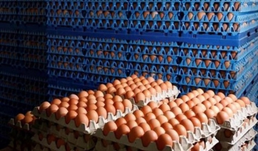 Παρτίδα με 20.000 μολυσμένα αυγά εντοπίστηκε στην Ισπανία
