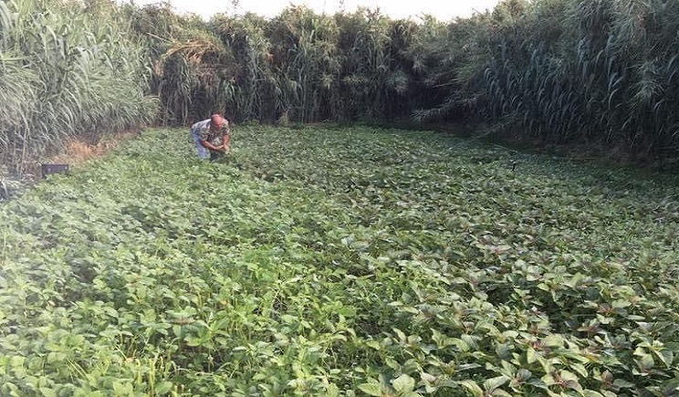 Εκδήλωση διαμαρτυρίας από την Επιτροπή Αγώνα Αγροτών, Κτηνοτρόφων, Μελισσοκόμων Νάξου - Αγωνιστικός χαιρετισμός του Δ. Καπούνη