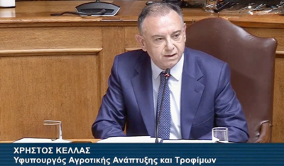 Κέλλας στο ΕΡΤnews: Αναδρομικά στους αγρότες η επιδότηση για τα λιπάσματα