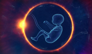 Γεννήθηκαν οι πρώτοι άνθρωποι μετά από γονιμοποίηση με τη χρήση ρομπότ!