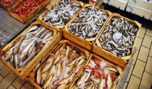 Εκατόν δεκαεπτά κιλά αλιευμάτων κατασχέθηκαν, πρωινές ώρες χθες, από τα στελέχη της Λιμενικής Αρχής Άνδρου.