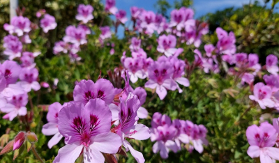 Η Λαϊκή Συσπείρωση Πάρου τιμά σήμερα τις εργαζόμενες γυναίκες