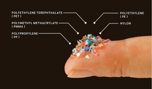 Τα μικροπλαστικά είναι παντού. Είναι πράγματι επικίνδυνα για τον οργανισμό μας ή μήπως υπερβάλλουμε;