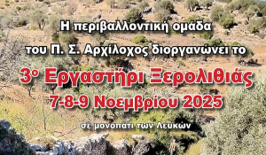 Πάρος: 3ο εργαστήρι ξερολιθιάς