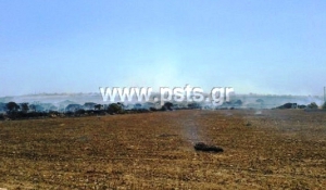 Αίτημα οικονομικής ενίσχυσης σε όσους υπέστησαν ζημιά στη φυτική παραγωγή τους από την πυρκαγιά που σημειώθηκε στις 22-7-13 στο Βουτάκο στην Αγκαιριά της Πάρου