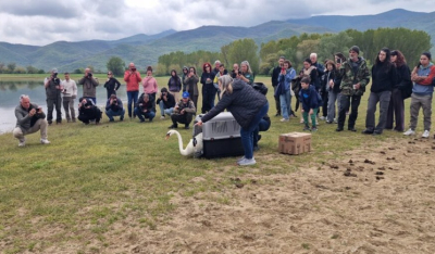 Επανένταξη αποθεραπευμένων άγριων πουλιών, που φιλοξενήθηκαν στις εγκαταστάσεις τους, σε Πάρο και Θεσσαλονίκη
