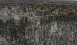 Βίντεο: Drone πάνω από τη Βαρυμπόμπη – Η επόμενη ημέρα μετά την τεράστια καταστροφή από την πυρκαγιά
