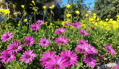 Έρχεται νέα ψηφιακή πλατφόρμα για όσους θέλουν να αλλάξουν ζωή και επιθυμούν να ζήσουν στην περιφέρεια
