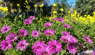 Έρχεται νέα ψηφιακή πλατφόρμα για όσους θέλουν να αλλάξουν ζωή και επιθυμούν να ζήσουν στην περιφέρεια