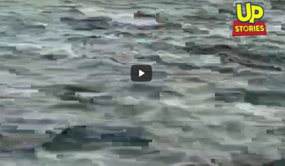 Απίστευτο: Ψαράδες βρήκαν αγριογούρουνο να... κολυμπά μεσοπέλαγα στη Φθιώτιδα (βίντεο)