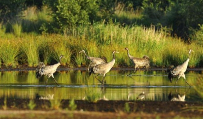 Περιοχές Natura: «Γκρίζες ζώνες» για επενδυτές και τοπικές κοινωνίες