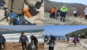 Άνδρος: Καθάρισε η παραλία στο Παραπόρτι