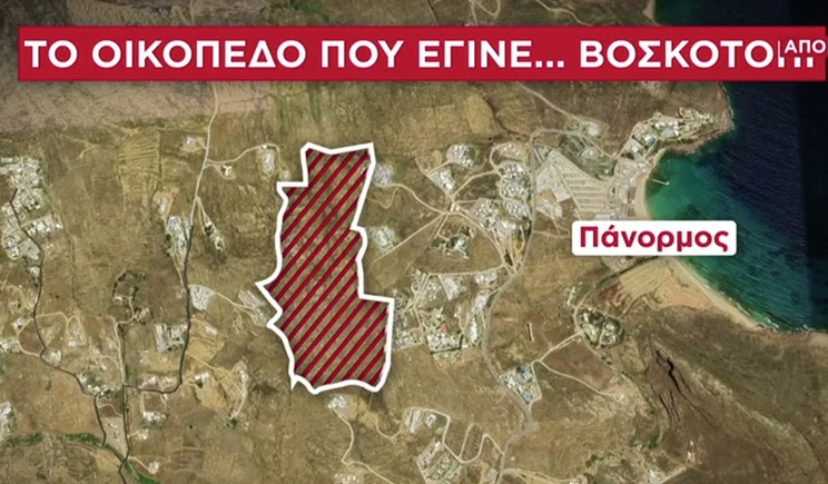 ΟΠΕΚΕΠΕ: Οικόπεδο - φιλέτο 130 στρεμμάτων στον Πάνορμο Μυκόνου δηλώθηκε ως βοσκοτόπι (βίντεο)