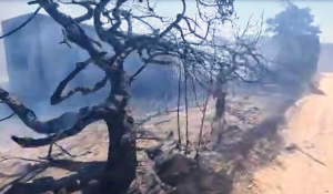 Πάρος: Έτσι ξεκίνησε η φωτιά στη Σάντα Μαρία – Υλικές ζημιές (Βίντεο)
