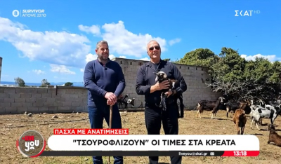 Δ. Καπούνης: «Ζητούν κάτι καλύτερο φέτος το Πάσχα οι κτηνοτρόφοι της Νάξου για τα αμνοερίφιά τους!»