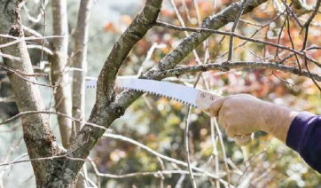 Ανακοίνωση - Υπενθύμιση προς Ιδιοκτήτες ακινήτων Δήμου Πάρου για την Υποχρέωση Κλάδευσης και Συντήρησης Βλάστησης σε Ιδιωτικούς χώρους