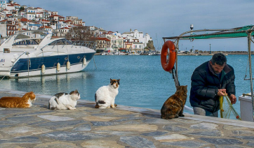 Σκόπελος: Πλήρωσε 750 ευρώ για κράτηση σε ξενοδοχείο που δεν έγινε… ποτέ!