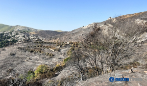 Οριοθετήθηκε η πυρκαγιά στην ορεινή Νάξο – Θλιβερές εικόνες από την καμένη γη που άφησε πίσω της (Βίντεο + Φωτό)