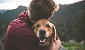 Να ποιο είναι το μοναδικό «συστατικό» για την ιδιαίτερη σχέση ανθρώπου – σκύλου