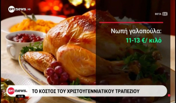 Το κόστος του Χριστουγεννιάτικου τραπεζιού (Βίντεο)