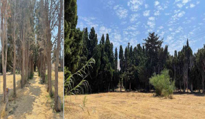 Πάρος: Συγκρότηση Γνωμοδοτικής Επιτροπής για το Αγροκήπιο Παροικίας