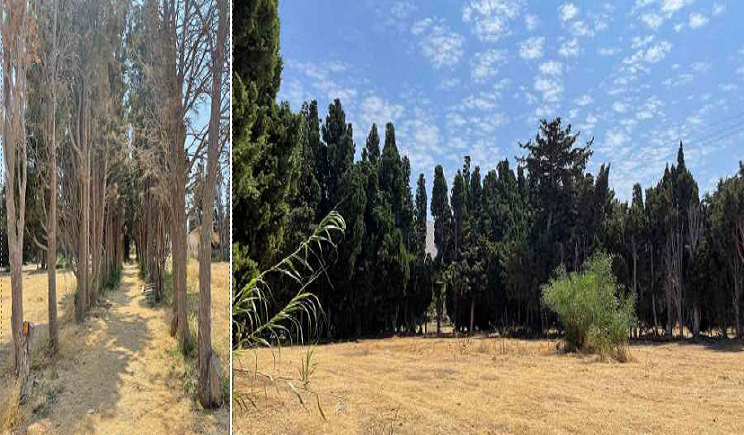 Πάρος¨Συγκρότηση Γνωμοδοτικής Επιτροπής για το Αγροκήπιο Παροικίας