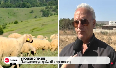 Καταγγελία Δ. Καπούνη σε ΕΡΤ- Blue Sky: «Καταπατημένες εκτάσεις και φέτος στις Κυκλάδες!» (βίντεο)