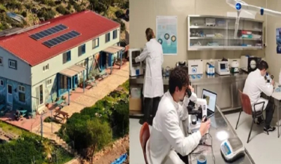 Πολλαπλά Ερωτήματα για την Περίθαλψη των Θαλάσσιων Ειδών στην Ελλάδα (Βίντεο)