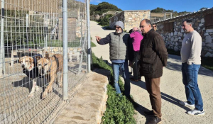Δήμος Πάρου: Επίσκεψη στο καταφύγιο αδέσποτων ζώων του PAWS στο Μαράθι και υπογραφή νέας σύμβασης παροχής υπηρεσιών για την φιλοξενία αδέσποτων ζώων συντροφιάς