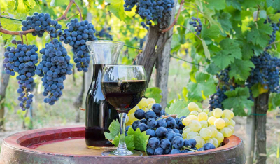 ΚΕΟΣΟΕ: Σε χαμηλά επίπεδα, αλλά ελαφρώς αυξημένη η φετινή Ελληνική οινοπαραγωγή