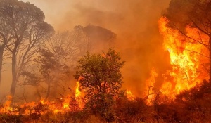 Γαλλία: Μαίνεται η σφοδρή πυρκαγιά στην Κυανή Ακτή -«Δεν έχει ακόμη οριοθετηθεί, υπάρχει πιθανότητα εξάπλωσής της»