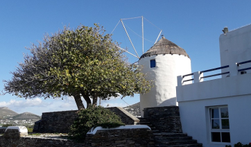 Πάρος: Ζωηρή κίνηση στο νησί - Εν αναμονή τουριστικού κύματος στο τριήμερο του Αγ. Πνεύματος