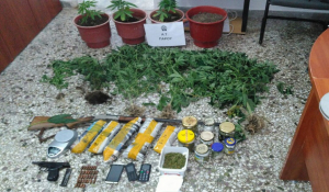Συνελήφθησαν στην Πάρο τρία άτομα εμπλεκόμενοι σε καλλιέργεια ναρκωτικών ουσιών
