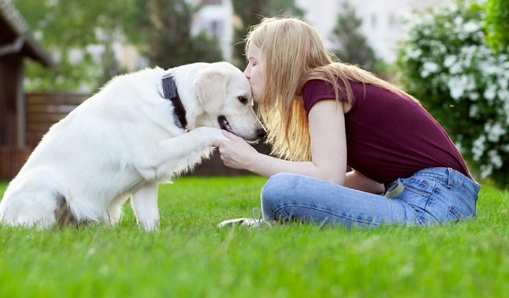 Η εκπληκτική ενσυναίσθηση των σκύλων-Αντιλαμβάνονται πότε είστε στενοχωρημένοι