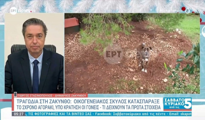 Τραγωδία στη Ζάκυνθο: Το επόμενο διάστημα θα αποφασιστεί αν θα θανατωθεί το πίτμπουλ που σκότωσε το 2χρονο παιδάκι (Bίντεο)