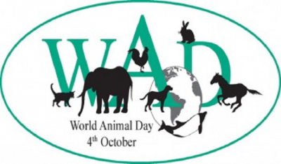 Παγκόσμια Ημέρα των Ζώων - Το μήνυμα της ΕΛ.ΑΣ