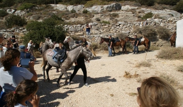 Ιερή Πανήγυρη υπέρ του προστάτη των αλόγων Αγ. Μάμαντος στην Μονή Αγ. Γεωργίου Λαγκάδας Μάρπησσας Πάρου